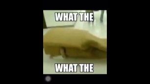 Nigga Humps the Ground while in Club Panguin